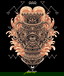 HBAR NFT Collection Zodiac