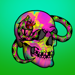 HBAR NFT Collection Hippie Skulls