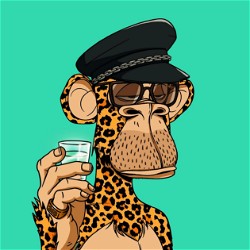 HBAR NFT Collection Bored Ape Yacht Club