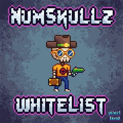 HBAR NFT Collection NumSkullz Whitelist Token