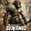 HBAR NFT Collection Hbarbarians Sentinel 