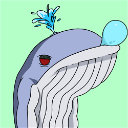 HBAR NFT Collection Hedera Whale Club