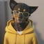 HBAR NFT Collection HOODIES