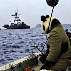 HBAR NFT Collection Admiral Panda with a Gun