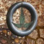 HBAR NFT Collection IvyFi Digital Sculpture - Shannon Stone x IvyFi