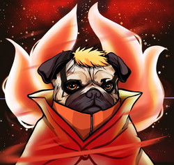 HBAR NFT Collection HashPugs Themed Pugs