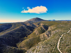 HBAR NFT Collection Landscape