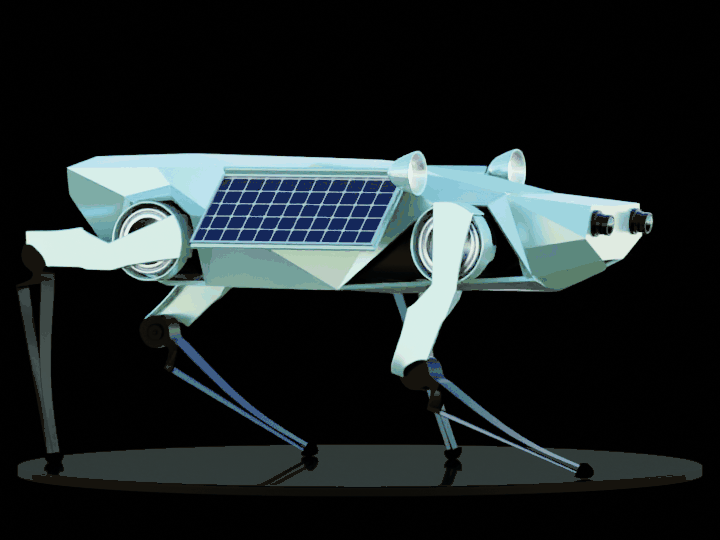 HBAR NFT Collection CryptoDogs