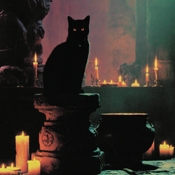 HBAR NFT Collection The Nightmares