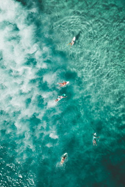 HBAR NFT Collection Surfing 2