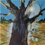 HBAR NFT Collection The Witness Tree