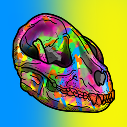 HBAR NFT Collection Hippy Skulls- Custom Editions