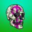 HBAR NFT Collection OG Hippy Skulls