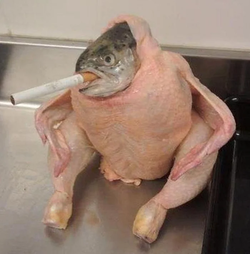HBAR NFT Collection Fishchicken