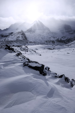 HBAR NFT Collection Frozen Frontiers