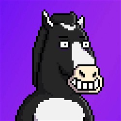 HBAR NFT Collection Hash Horses