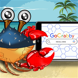 HBAR NFT Collection Web23 - Hashcrabs