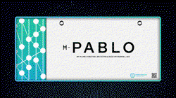 HBAR NFT Collection PABLO